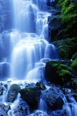 ������� 3D ����