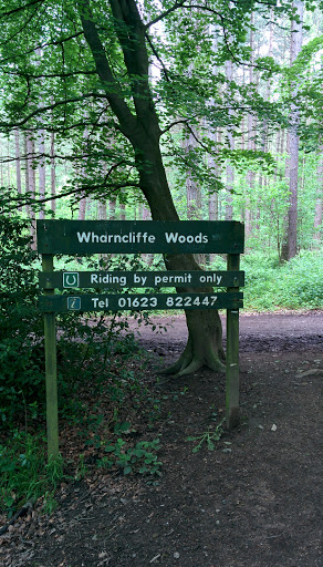 Wharncliffe Woods 