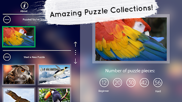 Venn Birds: Circle Jigsaw APK 螢幕截圖圖片 #4