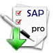 SAP asset PRO