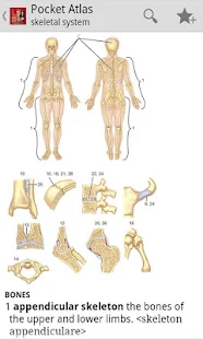 Atlas of Anatomy - screenshot thumbnail