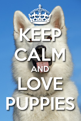 Keep Calm And LOVE PUPPIES uHD