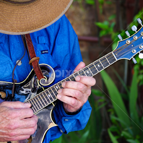 Mandolin by Brad Maberto - People Musicians & Entertainers