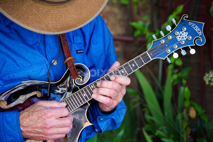 Mandolin by Brad Maberto - People Musicians & Entertainers