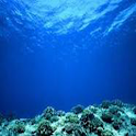 Ocean Soundboard logo