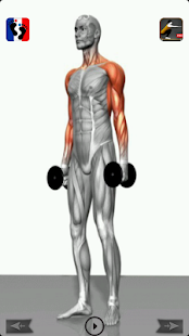 Fitness & Muscle building - screenshot thumbnail