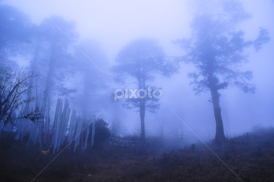 Mistry (Dochula Dzong) by Kunal Seal - Landscapes Forests