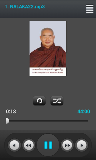 Venerable Pa Auk SayaDaw Vol 8