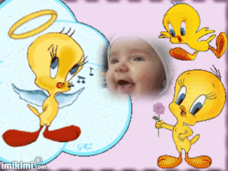 Piolin.gif