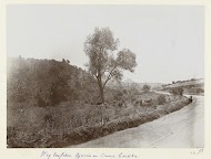 Weg met dorre begroeiïng op Corsica