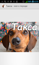 Такса - уход за собакой APK Download for Android