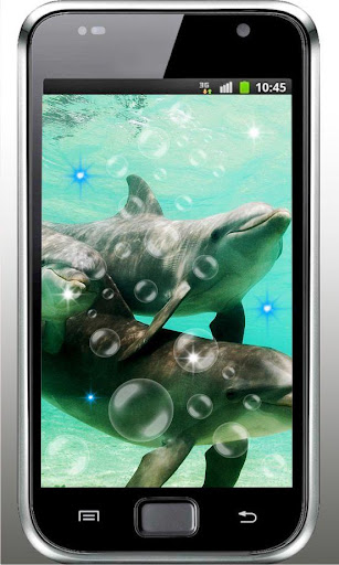 Dolphin Music live wallpaper
