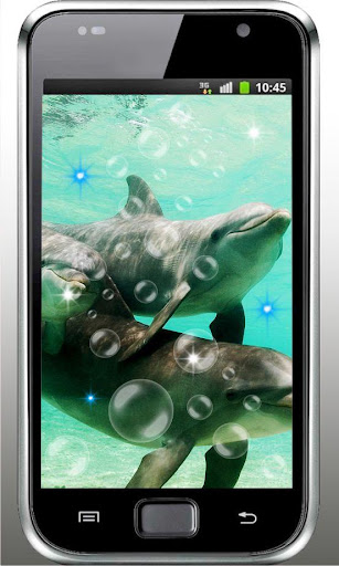 【免費個人化App】Dolphin Music live wallpaper-APP點子