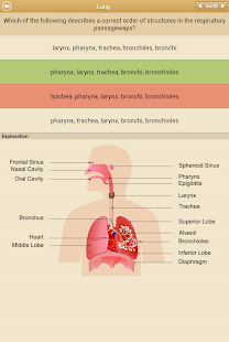 Know Your Body Screenshots 6