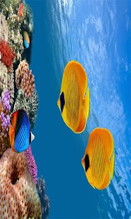 Under Sea Wallpaper Screenshots 0