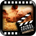 Best Domestic Animals Sounds icon