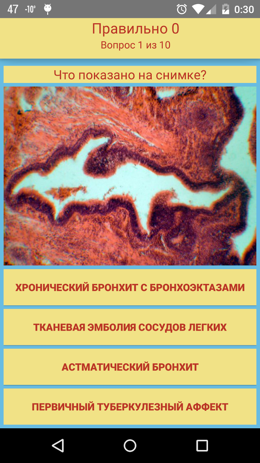 Патология Screen 2