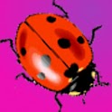 Cute Ladybugs Donation logo