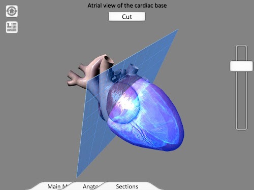 Android application Cat Heart Interactive screenshort
