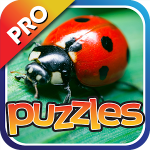 Bugs & Insects Puzzles Pro logo