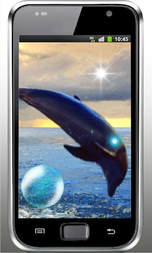 Dolphin Sunset live wallpaper