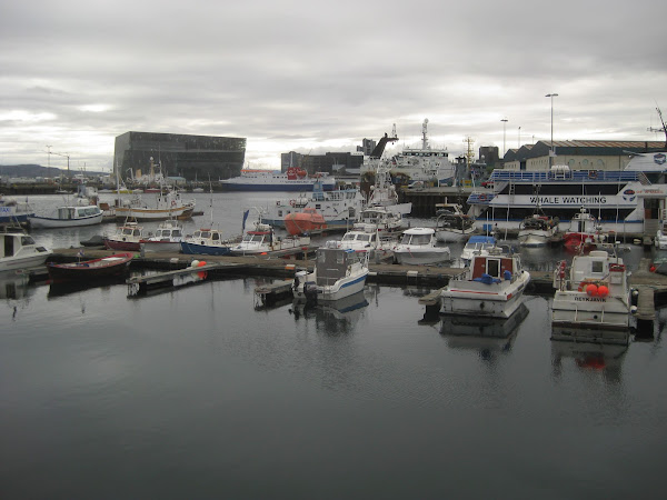 Reykjavik Harbor