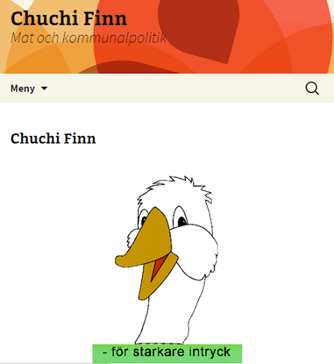 Chuchi Finn