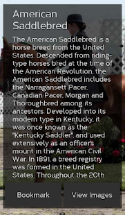 Horse Breeds: Types of Horse Screenshots 6