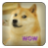 Doge Jump mobile app icon