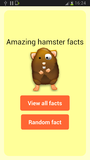 Amazing Hamster Facts