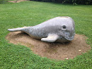 Stone Whale