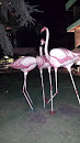 Flamingos Threesome