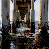 by David Allison -  