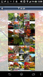 How to download WallpaperGallery KyotoofJapan 1.0 apk for bluestacks