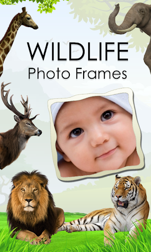 Wildlife Photo Frames