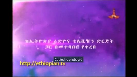 ETHIOPIA TV FREE screenshot 8