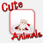 Cover Image of Download Cute Animals! 2.3 APK