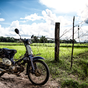 Sexy Motorbike by Sedthakun Soi - Transportation Motorcycles
