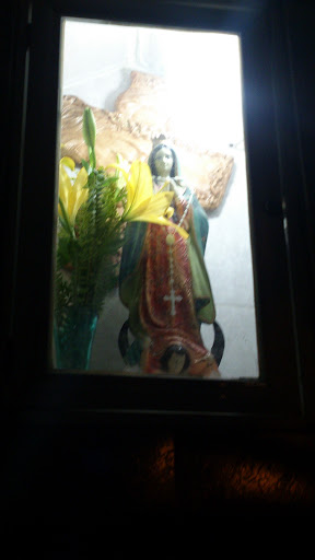 Virgen De Guadalupe Río Candelaria