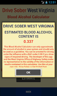 DRIVE SOBER WEST VIRGINIA Screenshots 2