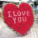 Cool Love Theme Background logo