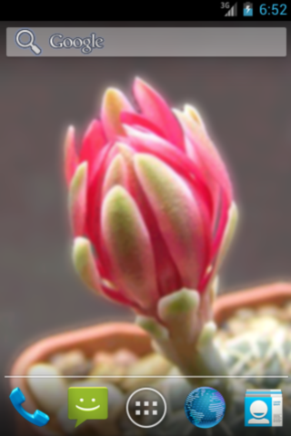 Android application Blossoming Flower - Livepaper screenshort