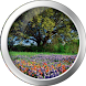 Spring Clock Widget