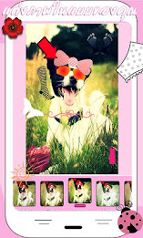 Camera Lovely Plus poster 2