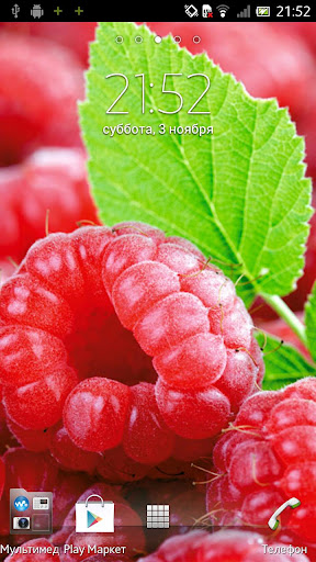 Raspberries Live Wallpaper