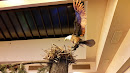 Bald Eagle Nest Display