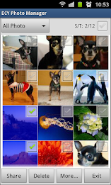 DIY Photo Manager poster 1