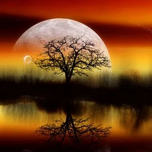 3D HD wallpaper