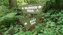 Maple Trail and Wildwood Trail Juncture
