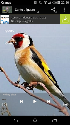 Jilguero